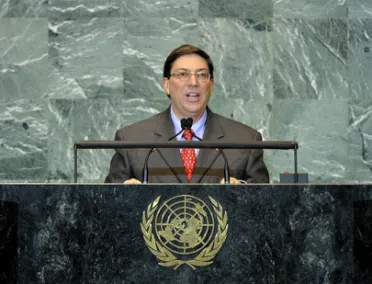 Portrait of His Excellency Bruno Rodríguez Parrilla (Minister for Foreign Affairs), Cuba