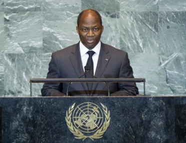 Portrait of His Excellency Djibrill Ypènè Bassolé (Minister for Foreign Affairs), Burkina Faso