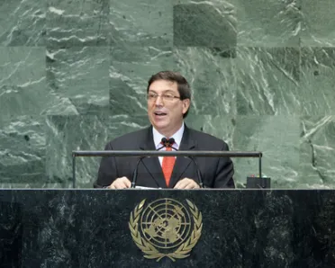 Portrait of His Excellency Bruno Rodriguez Parrilla (Minister for Foreign Affairs), Cuba