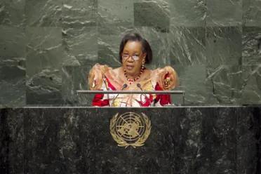Portrait of H.E. Mrs. Catherine Samba-Panza (President of the Transitional Government), Central African Republic