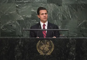Portrait de (titres de civilité + nom) Son Excellence Enrique Peña Nieto (Président), Mexique