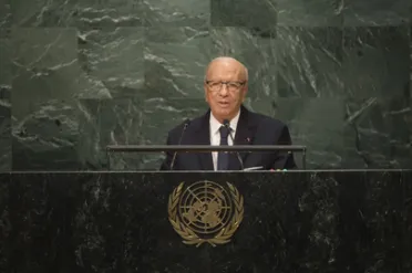 Portrait de (titres de civilité + nom) Son Excellence Béji Caïd Essebsi (Président), Tunisie
