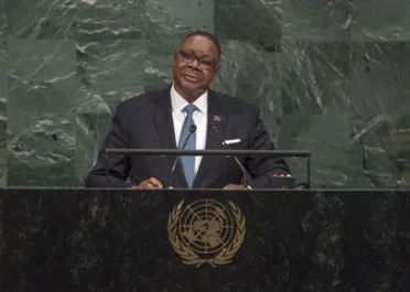 Portrait of His Excellency Arthur Peter Mutharika (President), Malawi