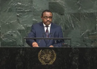 Portrait de (titres de civilité + nom) Son Excellence Hailemariam Desalegn (Premier Ministre), Éthiopie