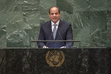 Portrait de (titres de civilité + nom) Son Excellence Abdel Fattah al-Sisi (Président), Égypte