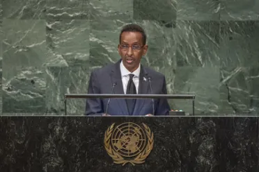 Portrait de (titres de civilité + nom) Son Excellence Ahmed Awad Isse (Ministre des affaires étrangères), Somalie