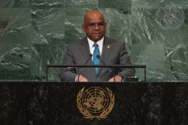 Portrait de (titres de civilité + nom) Son Excellence Abdulla Shahid (Ministre des affaires étrangères), Maldives