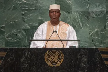 Portrait de (titres de civilité + nom) Son Excellence Abdoulaye Maiga (Premier Ministre par intérim), Mali
