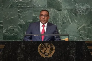 Portrait de (titres de civilité + nom) Son Excellence Demeke Mekonnen Hassen (Vice-Premier Ministre), Éthiopie