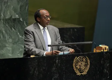 Portrait of His Excellency Roble Olhaye (Permanent Representative), Djibouti