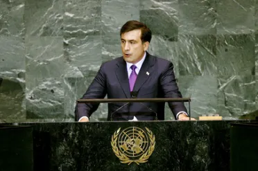 Portrait of His Excellency Mikheil Saakashvili (President), Georgia