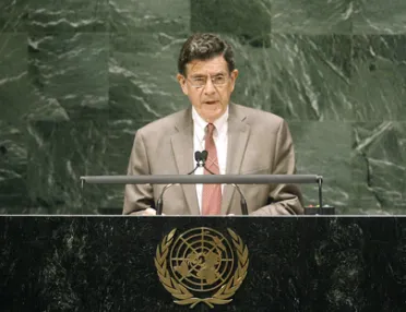 Portrait de (titres de civilité + nom) Son Excellence Gert Rosenthal (Président), Guatemala