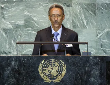 Portrait of His Excellency Hamady Ould Hamady (Minister for Foreign Affairs), Mauritania