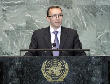 Portrait of His Excellency Espen Barth Eide (Deputy Minister for Foreign Affairs), Norway