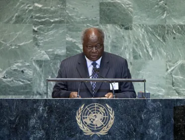 Portrait of His Excellency Mwai Kibaki (President), Kenya