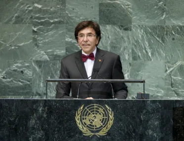 Portrait of His Excellency Elio Di Rupo (Prime Minister), Belgium