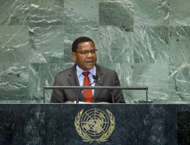 Portrait de (titres de civilité + nom) Son Excellence Bernard Kamillius Membe (Ministre des affaires étrangères), République-Unie de Tanzanie