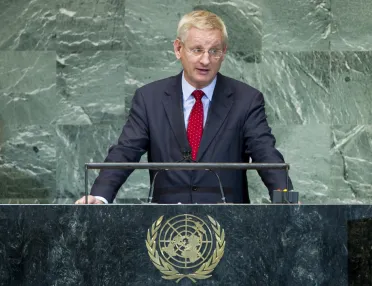 Portrait de (titres de civilité + nom) Son Excellence Carl Bildt (Ministre des affaires étrangères), Suède
