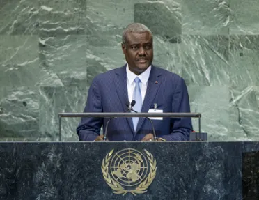 Portrait of His Excellency Moussa Faki Mahamat (Minister for Foreign Affairs), Chad