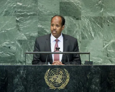 Portrait de (titres de civilité + nom) Son Excellence Mahmoud Ali Youssouf (Ministre des affaires étrangères), Djibouti