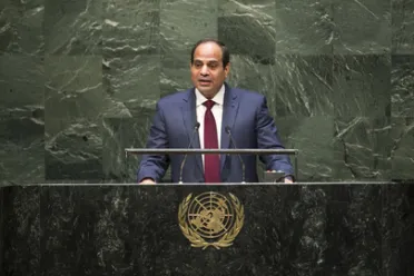 Portrait of His Excellency Abdel Fattah Al Sisi (President), Egypt