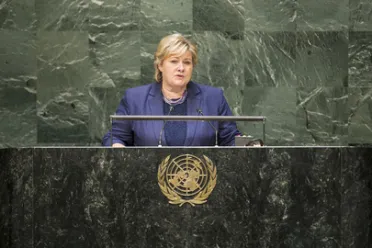 Portrait of H.E. Mrs. Erna SOLBERG (Prime Minister), Norway