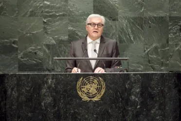 Portrait of His Excellency Frank-Walter Steinmeier (Minister for Foreign Affairs), Germany