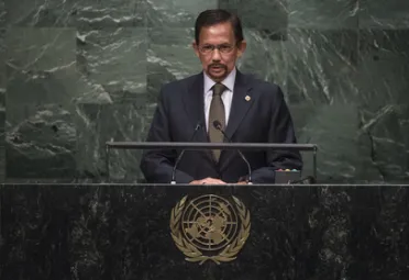 Portrait of His Majesty Sultan Hassanal Bolkiah Mu'izzaddin Waddaulah (Sultan and Yang Di Pertuan), Brunei Darussalam