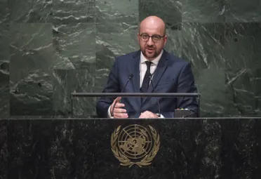 Portrait of His Excellency Charles Michel (Prime Minister), Belgium