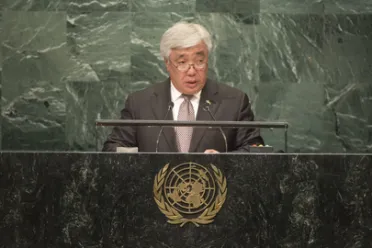 Portrait of His Excellency Erlan Idrissov (Minister for Foreign Affairs), Kazakhstan
