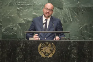 Portrait of His Excellency Charles Michel (Prime Minister), Belgium