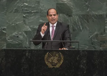 Portrait of His Excellency Abdel Fattah Al Sisi (President), Egypt