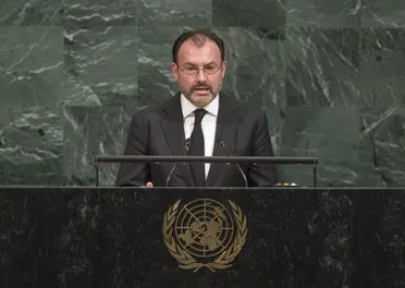 Portrait of His Excellency Luis Videgaray Caso (Minister for Foreign Affairs), Mexico