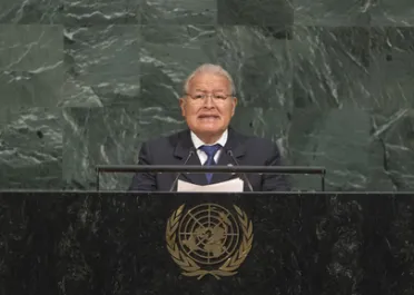 Portrait of His Excellency Salvador Sánchez Cerén (President), El Salvador