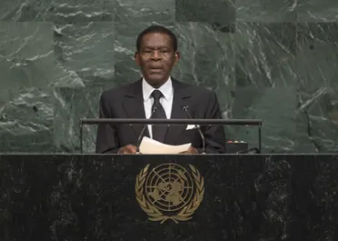 Portrait of His Excellency Teodoro Obiang Nguema Mbasogo (President), Equatorial Guinea