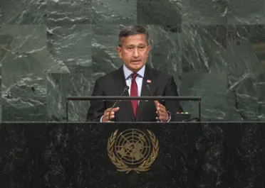 Portrait of His Excellency Vivian Balakrishnan (Minister for Foreign Affairs), Singapore