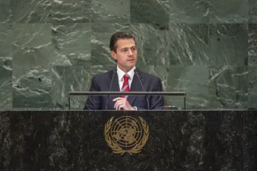 Portrait of His Excellency Enrique Peña Nieto (President), Mexico