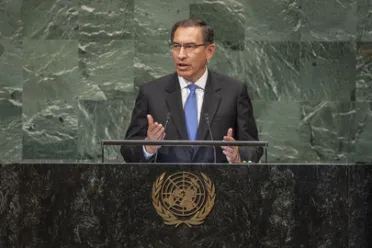 Portrait of His Excellency Martin Vizcarra Cornejo (President), Peru