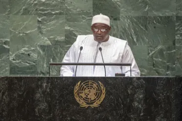 Portrait of His Excellency Adama Barrow (President), Gambia (Republic of The)