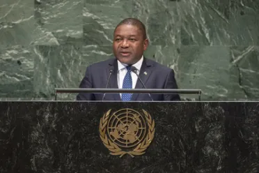 Portrait of His Excellency Filipe Jacinto Nyusi (President), Mozambique