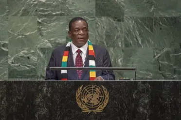 Portrait of His Excellency Emmerson Dambudzo Mnangagwa (President), Zimbabwe