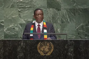 Portrait de (titres de civilité + nom) Son Excellence Emmerson Dambudzo Mnangagwa (Président), Zimbabwe