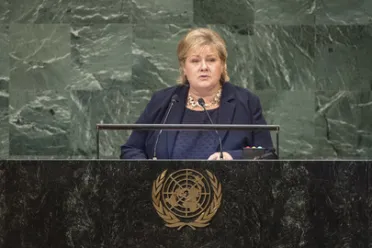 Portrait of Her Excellency Erna Solberg (Prime Minister), Norway