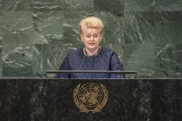 Portrait of Her Excellency Dalia Grybauskaitė (President), Lithuania