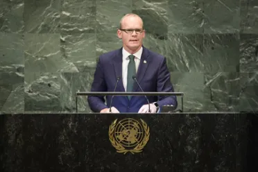 Portrait of His Excellency Simon Coveney (Deputy Prime Minister), Ireland