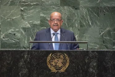 Portrait of His Excellency Abdelkader Messahel (Minister for Foreign Affairs), Algeria
