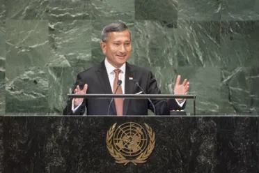 Portrait de (titres de civilité + nom) Son Excellence Vivian Balakrishnan (Ministre des affaires étrangères), Singapour