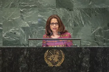 Portrait of Her Excellency Maria Helena Pires (Chair of the Delegation), Timor-Leste