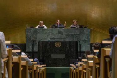 Portrait of Her Excellency María Fernanda Espinosa Garcés (President of the General Assembly), President of the General Assembly (closing)