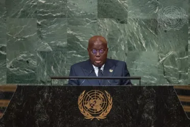 Portrait of His Excellency Nana Addo Dankwa Akufo-Addo (President), Ghana